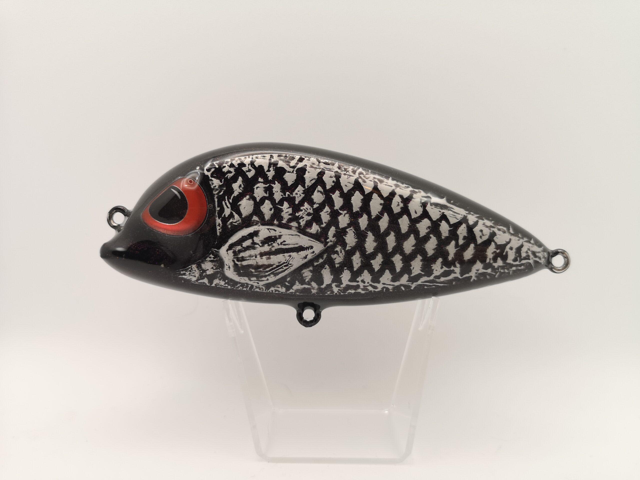 Angry Snapper